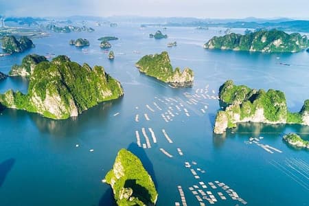 Passeio de barco de 6 horas em Halong com caverna, caiaque, almoço, traslado de Hanói