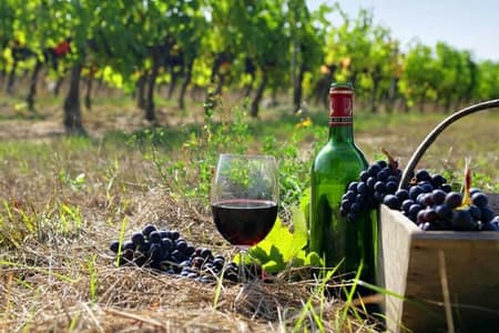 Private wine tour to Khor Virap, Areni winery, Noravank