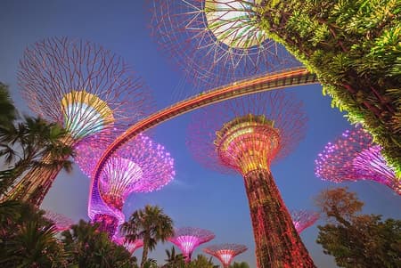 Gardens by the Bay with Marina Bay Sands Skypark