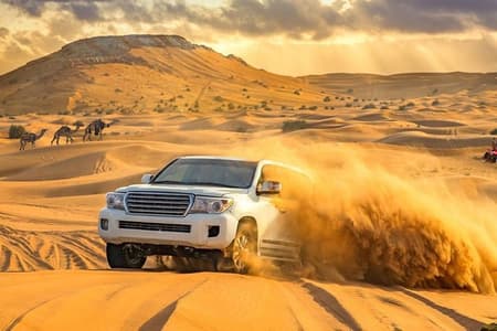 Dubai Private Morning Desert Safari: Camel Ride & Sandboarding