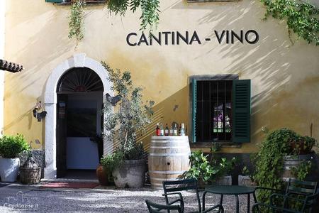 Cata de vinos en el centro histórico de Lazise