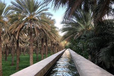 Oude Nizwa authentieke wandelingen