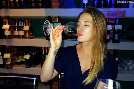 Tasting 10 + 1 CYPRUS WINES including transfers only from Larnaca