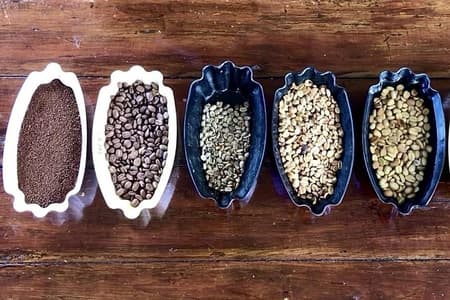 Blue Mountains Coffee Private Tour from Kingston