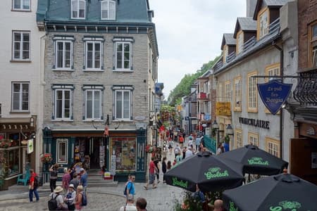 Tour turístico por la ciudad de Montreal con comentarios en vivo
