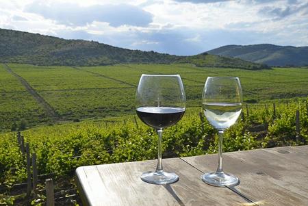Ruta del vino Macedonia
