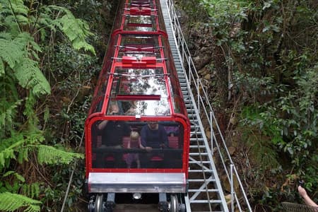Blue Mountains Day Trip from Sydney Including Scenic World