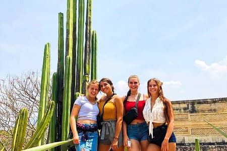 Visita guiada de meio dia a Mitla