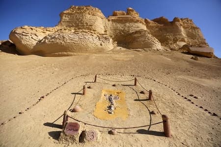 Private Tour to Whales Valley & Wadi El Rayan Waterfalls in El Fayoum from Cairo