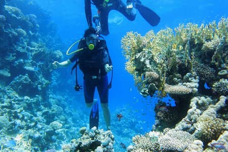 Ras Mohamed e White Island Snorkeling Trip e One Stop Diving-Sharm El Shiekh
