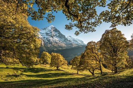 Grindelwald, Interlaken and Lauterbrunnen Day Trip from Lucerne