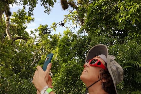 Yaxha Day Tour con Enfoque Arqueológico y Avistamiento de Monos