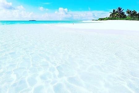 Mnemba Snorkeling, Kuza Cave, Blue Lagoon, Starfish Tour, The Rock Restaurant