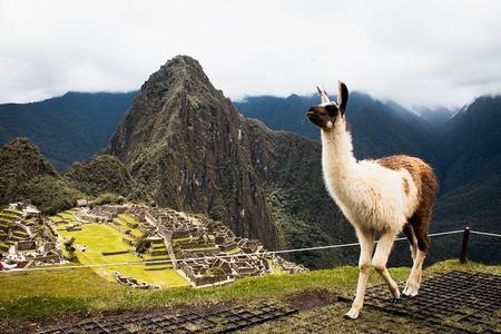 Excursión de un día completo a Machu Picchu en tren desde Cusco - Grupo pequeño