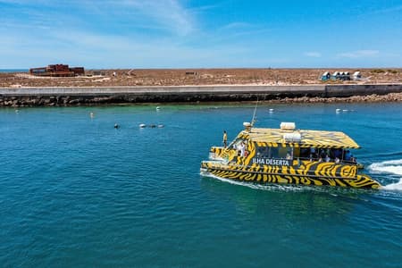 Viagem de barco saindo de Faro para a Ilha Deserta de balsa