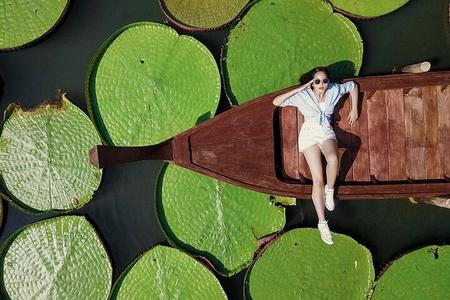 Phuket Giant Water Lilies & Temple Tour - Private & All-Inclusive