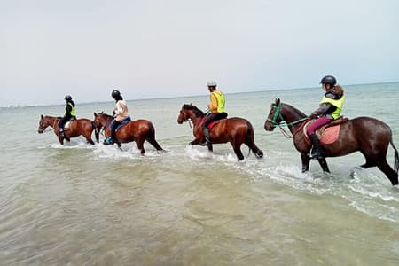 Horseback riding with private transfer