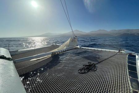 Observation des baleines et des dauphins sur un catamaran silencieux avec hydrophone