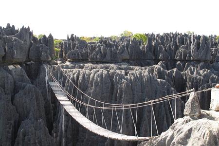 11 días descubre lémures, baobabs y tsingy de Madagascar
