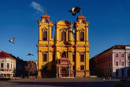 Best Intro to Timișoara in 2 hours with a Local