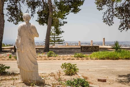 Private Walking Tour of Carthage Archaeological Site in Tunisia