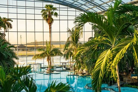 Therme Bucharest: Entry Ticket and Round-Trip Transfer