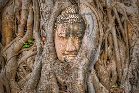 Ayutthaya Sunset Boat Ride & Famous Attractions Join Tour