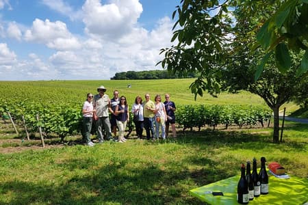 Loire Valley Half Day Wine Tour from Tours : 2 Vouvray wineries