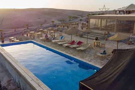 Desert full day: Quad, Camel, dinner & show or Pool Day w/ Lunch