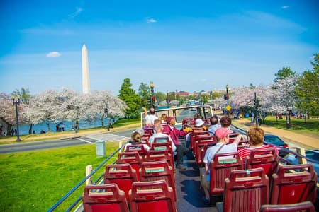 Big Bus DC: Hop-On Hop-Off Sightseeing Tour with 17 Stops