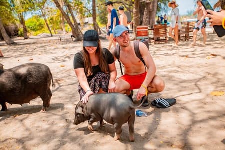 Koh Tan and Pig Island Half-Day Tour by Speed Catamaran