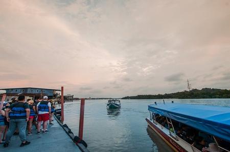 Private Fireflies Tour with Blue Tears and Seafood Dinner