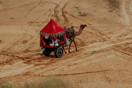 Tour della città di Pushkar con pranzo e guida al safari in cammello