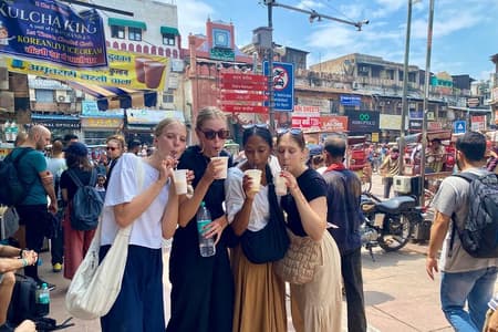 Old Delhi Food-Temples-Spice Market-Cultural All in One Tour