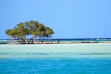 Gita di snorkeling alle Isole Hamata e Qulaan con pranzo - Marsa Alam