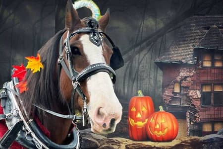 Tour de Halloween Haunted de 60 minutos