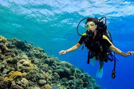 Ras Mohamed and White Island Snorkeling Trip and One Stop Diving-Sharm El Shiekh