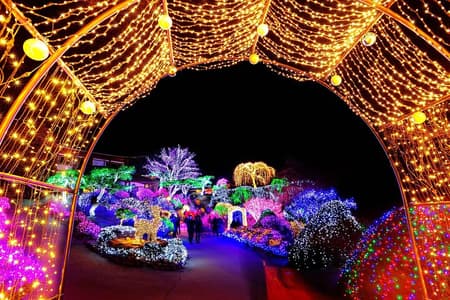 Day Trip to Nami Island with The Garden of Morning Calm