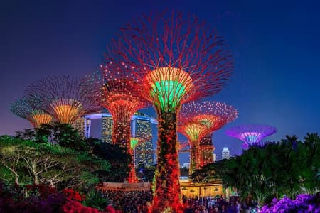 Starry Night Singapore Tour + Roundtrip Transfers