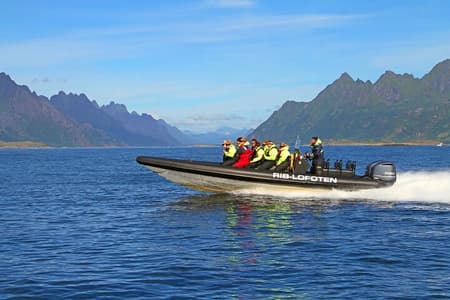 Crucero por el fiordo de Trollfjord y el safari Sea Eagle de Lofoten RIB