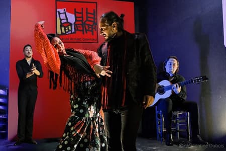 Espectáculo flamenco en el Tablao Álvarez Quintero en Sevilla