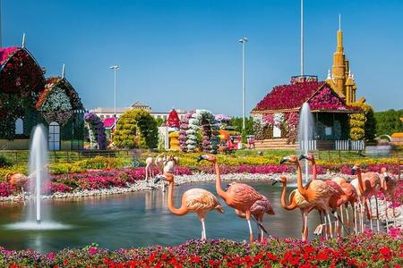 Dubai Miracle Garden&Global Village-Private Transfer-Entry Ticket