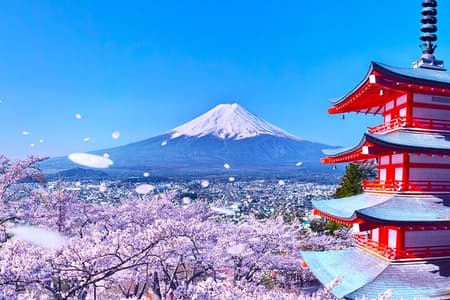 From Tokyo: Mount Fuji Sightseeing Full day Trip