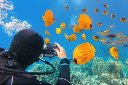 Sharm El-Sheikh : Ras Muhammed & Isola Bianca In Barca & intro Immersione