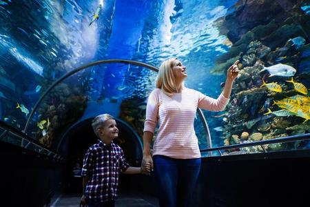 Antalya Aquarium, Wax Museum, Snow World, Wild Park, XD Cinema