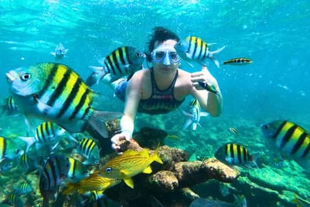 Excursão de barco às Ilhas Rosário com almoço, fortes e snorkeling