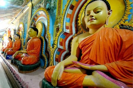 Half-Day Negombo City Tour with Ayurvedic Massage & Local Lunch