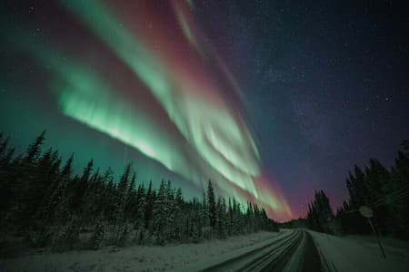 Rovaniemi: Northern Lights Family Tour by Bus with Photos