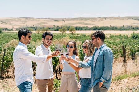 Visite de la ville de Tolède, expérience viticole et dégustation de vins au départ de Madrid