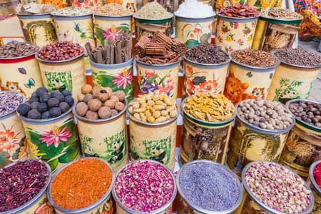 Private Tour of New and Old Dubai